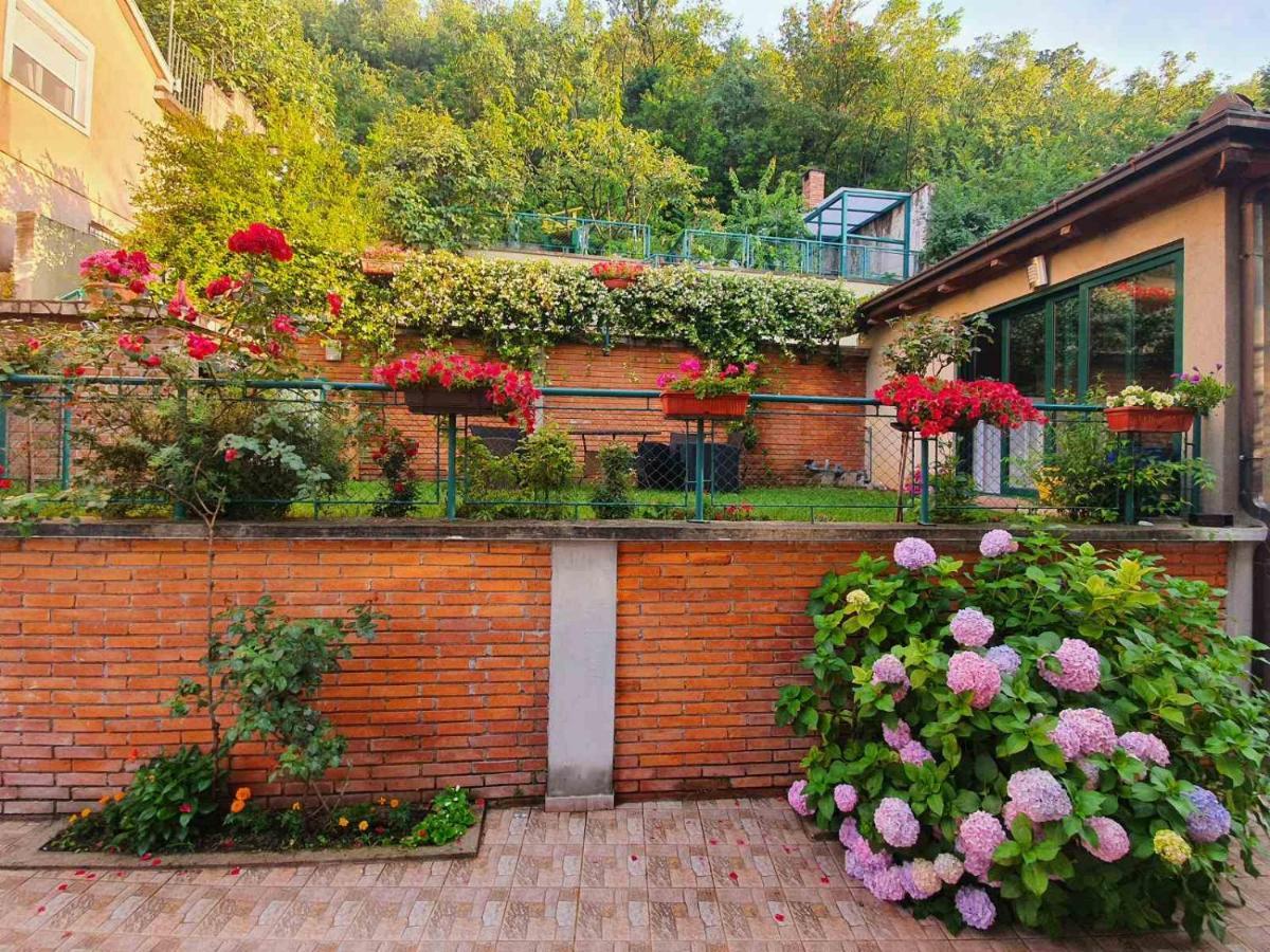 Villa Aya - With Sauna And Outdoor Swimming Pool Mostar Luaran gambar